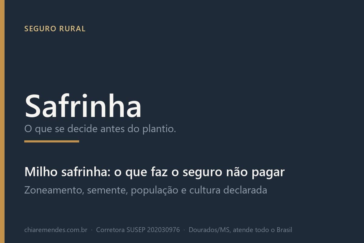 capa do artigo