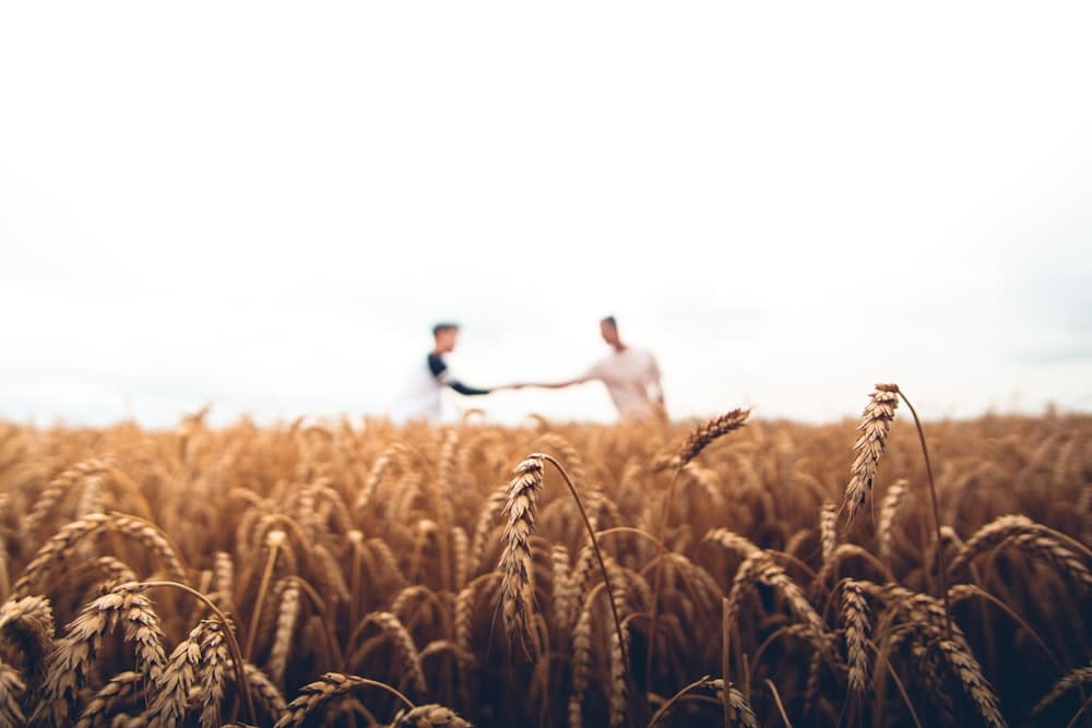 Seguro Rural — Chiare & Mendes
